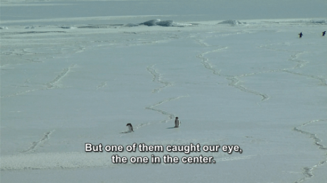 tumblr_n25dxpayOd1r6ezjio3_500