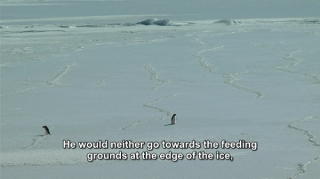 tumblr_n25dxpayOd1r6ezjio4_500