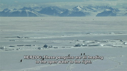 tumblr_n25dxpayOd1r6ezjio6_500